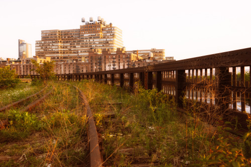 nythroughthelens:  High Line at the Rail Yards. The final section of railroad tracks. —-  The High Line is a public park that sits along a historic freight railroad line elevated high above the streets of New York City on the west side of Manhattan.