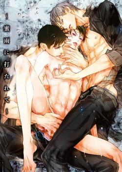 mininekodeedy:  BL Novel : KANIN ~蜜雨に打たれて~  Ilust : Kasai Ayumi