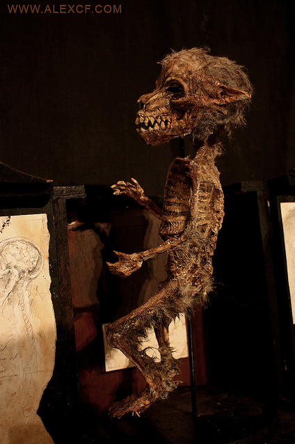 meganiane:  Infant Lycanthrope    This lycanthrope cannot be identified as a new born lycan or an infected human who gave birth to this infant. Regardless it was born Lycan, yet suffered some degree of malformation of the lungs. The specimen is presented