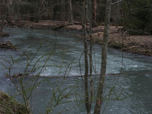 aetheric-aesthetic:The water here was literally opaque teal blue. So strange.