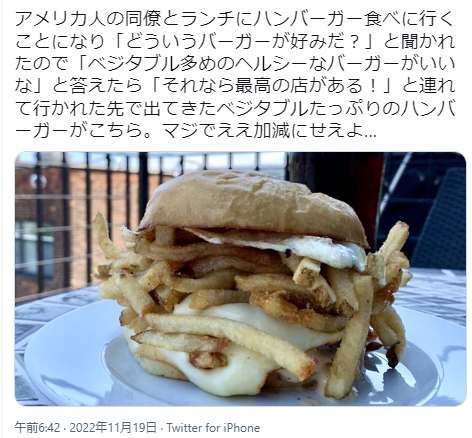 highlandvalley:  (via 山口慶明🇺🇸で何とか生きてるさんはTwitterを使っています: 「アメリカ人の同僚とランチにハンバーガー食べに行くことになり「どういうバーガーが好みだ？」と聞かれたので「ベジタブル多めのヘルシーなバーガーがいいな」と答えたら「それなら最高の店がある！」と連れて行かれた先で出てきたベジタブルたっぷりのハンバーガーがこちら。マジでええ加減にせえよ…