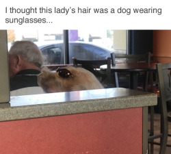 chocolate–goddess:  secretsunkept:  I thought this was a sea lion   So you telling me that’s NOT a dog wearing sunglasses?