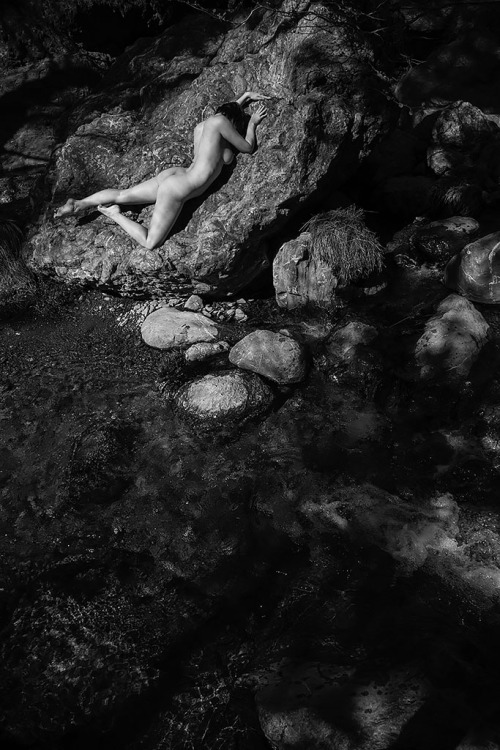 Foto Kammer + Nymph