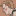 livfordoodles:
