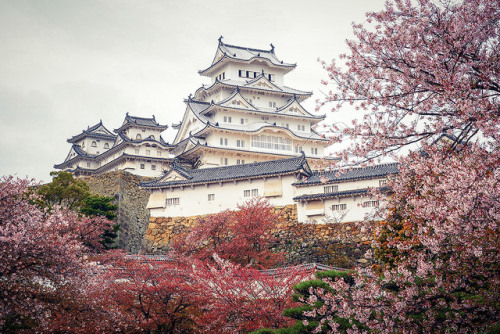 Himeji Castle (姫路城) in Spring by どこでもいっしょ on Flickr.