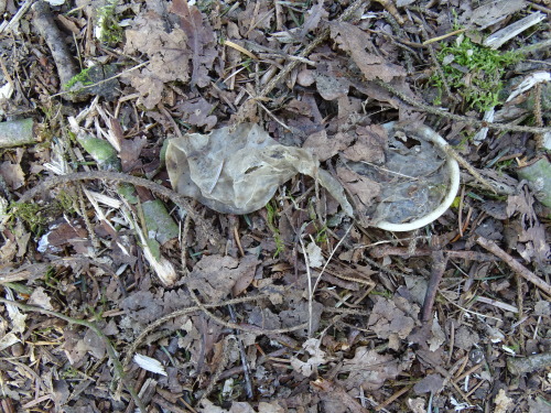 throwncondom:  Autoroute Liège-Namur, parking près de Fernelmont, avril 2015. Un merveilleux endroit pour le chasseur de capotes, non?*****Liège-Namur highway, parking near Fernelmont, April 2015. A wonderful place for condoms hunter, right?