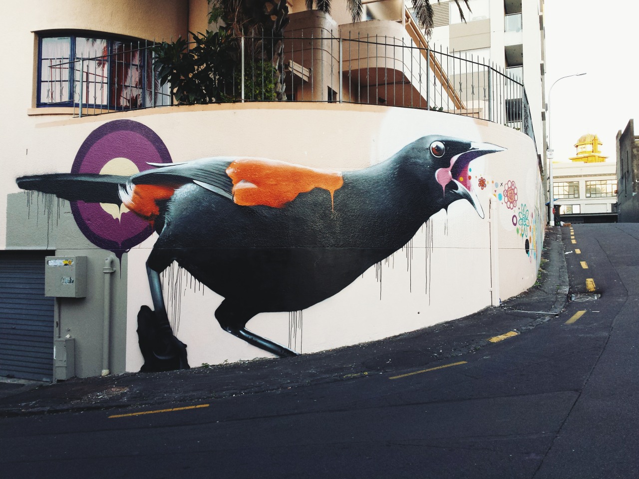 hikenny:  Poynton Terrace - Auckland Piece by Charles (TMD/SUK) for AllFresso Samsung