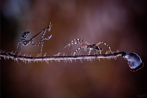 Time for You to Go by Fab. B on Flickr.