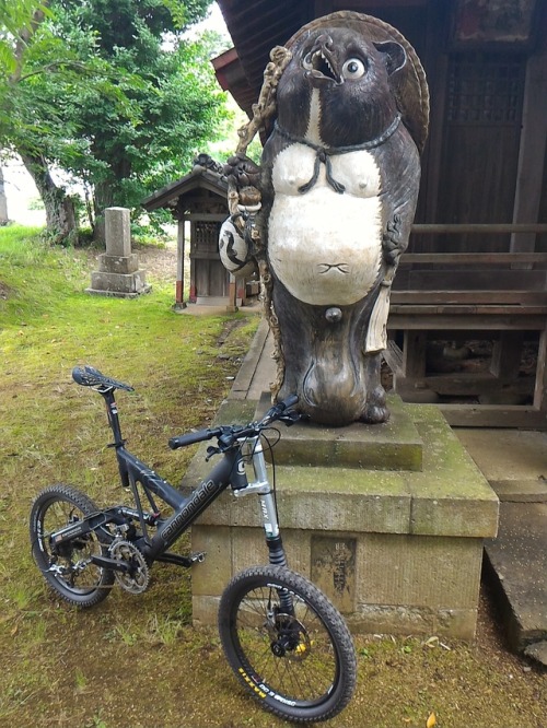 mtblike: たぬたぬこの後に出先でパンク神 降臨何年振りだろー(笑)手持ちの29erチューブ入れて帰ってきたよ。