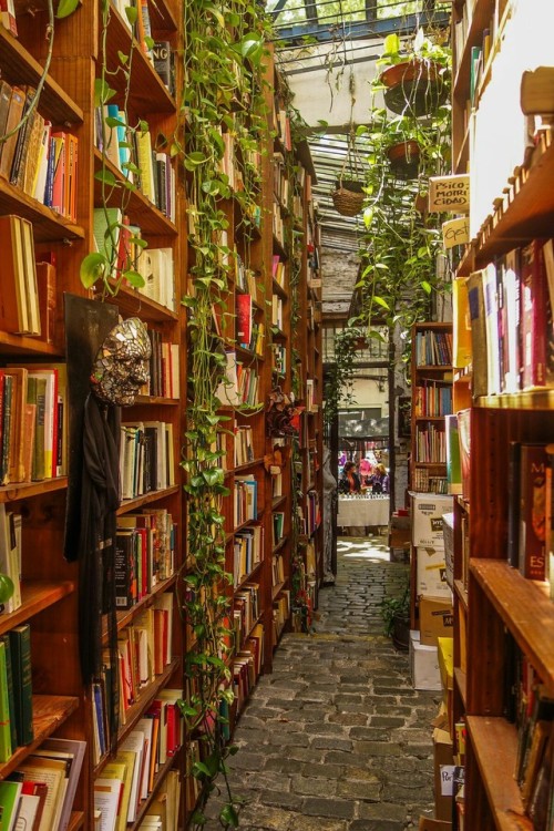 Bookshelves I Have Longed For #168:Greenery, stonework, and books. Sold.