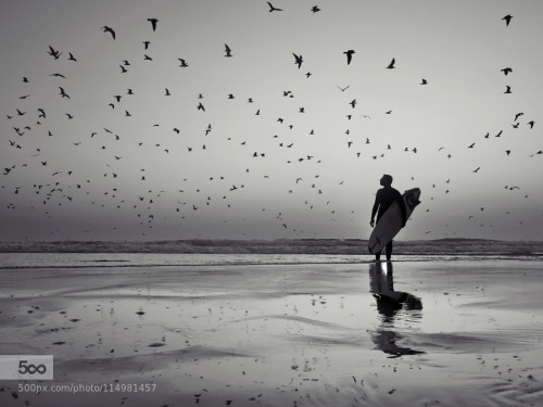 b i r d s by Antonio_Leao beaches,birds,ocean,reflections,samsung,sea,seascape,silhouette,surf,surfe