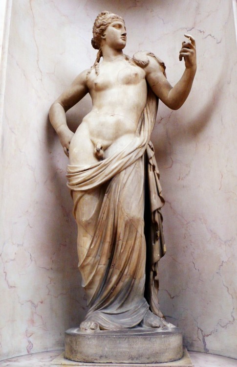 pristinescarlett: Statue of AphroditusRoman, Imperial. 2nd century AD.In Greek mythology Aphroditus 