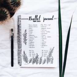 annes-studies:Bullet journal theme ideas || Instagram