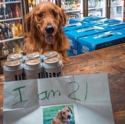 bronamicode:  I believe him