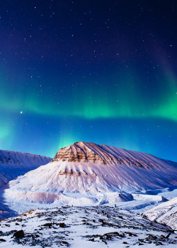 treewellie:  Polar lights over Svalbard by