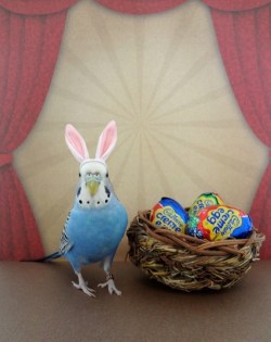 A little birdie told me it’s Easter