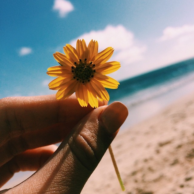 de sal e sol