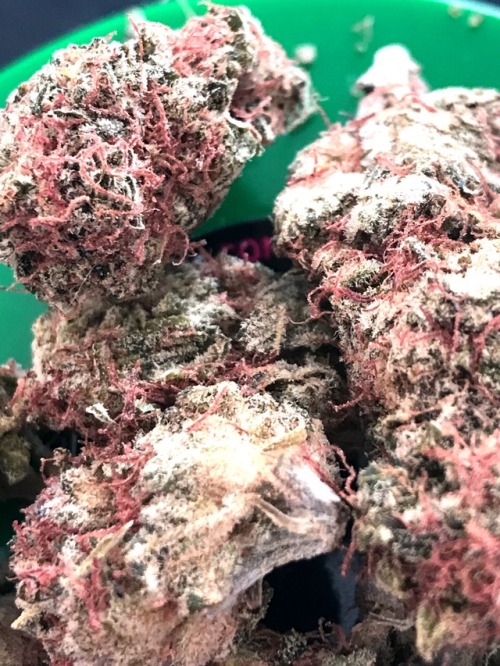 trippy-nati0n:  Strawberry Kush 🔥 adult photos