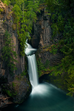 woodendreams:  (by Claus Cheng) 