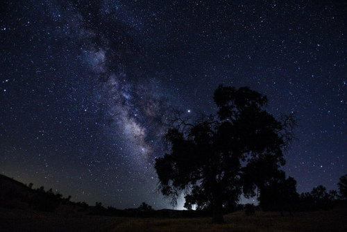 Milky Way with Oak by marlin harms Apparently that is Jupiter glowing at the top of the tree. During