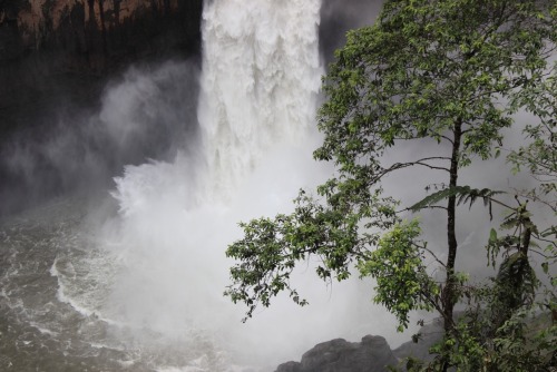 7vma: San Rafael waterfall, Ecuador