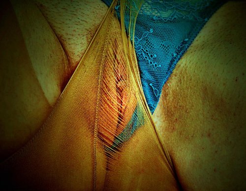Porn Pants or tights? by culpa1  photos