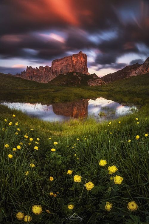 crescentmoon06: by Nicholas Roemmelt