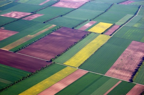 A third of arable soil lost in the last 40 years As the saying goes &lsquo;if it wasn&rsquo;