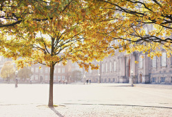 timefliestoday:  Copenhagen by ✿ n e l i a on Flickr. 