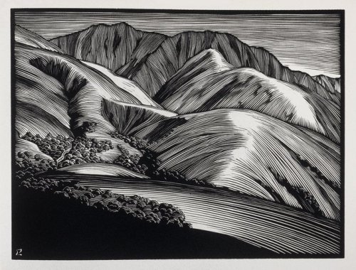 Duille@DuilleDesign&ldquo;Monterey Hills&rdquo;. Paul Landacre. 1931.