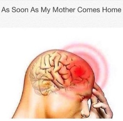 vixen-dollxx:  estrella-fuego:  aggienes:  barbaraitsshirley:  asifonlyme:  ell-zy:  artsyasfuckk:  Where is the damn lie  my mom works from home…  😂  LMFAO  Lol if this isn’t the truth  Literally this has been me since 5.   lmfao bruh.  😂😂😂