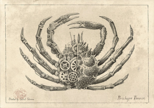 2illustration:Biomechanical Pencil Drawings of Crustaceans by Steeven Salvat