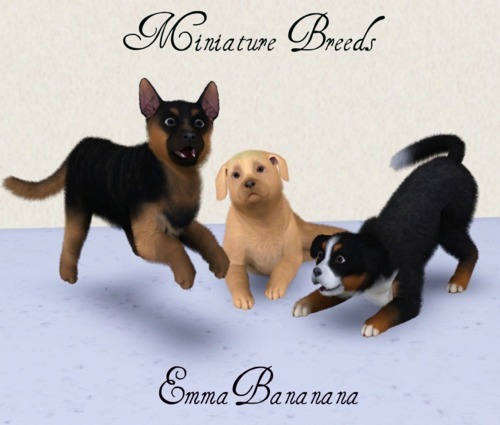 the sims 3 pets mod the sims 3 pets mod