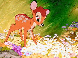 Bambi (1942) Lyric Meme