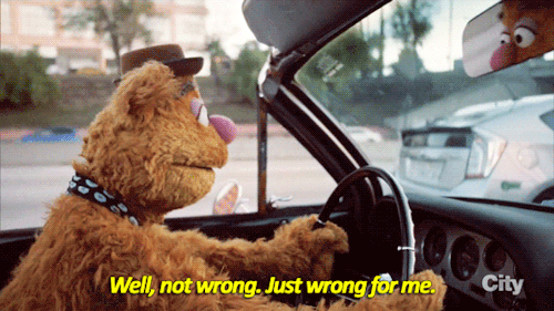 siryouarebeingmocked: perkachow:  sandandglass: The Muppets s01e01 Fozzy getting hit on by lots of t