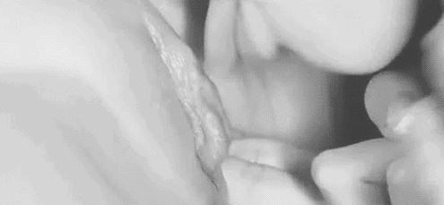 pussyingifs:  http://goo.gl/s1r3x8 - Full Gifs collection