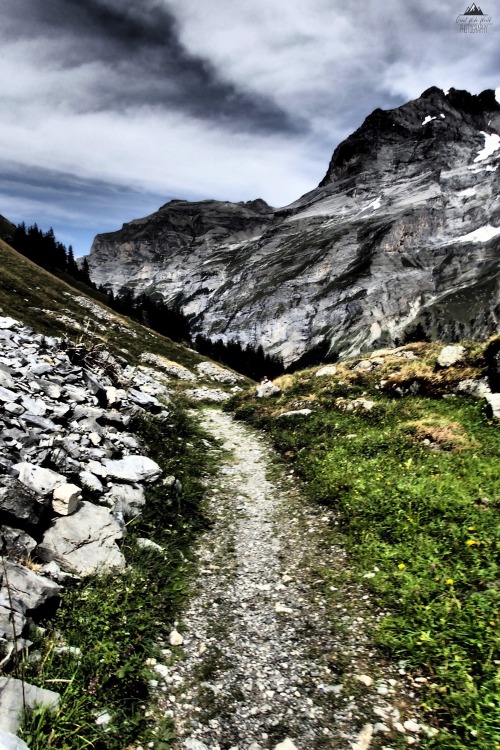 greatwideworldphoto: Path to Adventure | Original by Great Wide World Photography  Taken near Gimme