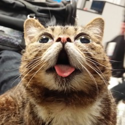 bublog:  BUB calls back to space. 