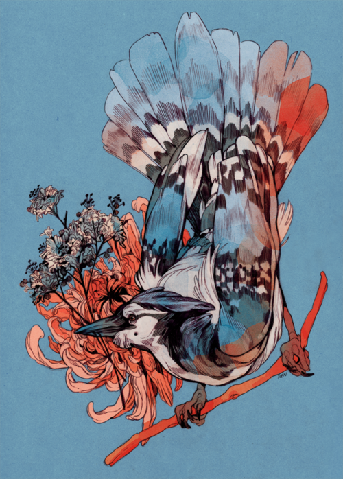 godzillabreath - a blue jay commission for, appropriately enough,...