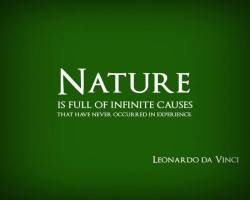 dirtyhippieproductions:  Nature is full of infinite cause that have never occurred in experience. ~ Leonardo Da Vinci☮ ❤ ॐFollow Us On FacebookFollow us on TwitterOur Etsy Shop