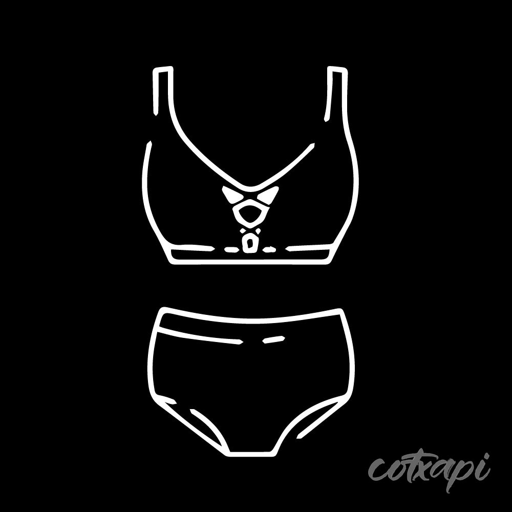 Swimwear Swimsuit Bra Panty Undergarment Underwear Icon Vector Art Illustration, Black and White Outline Design