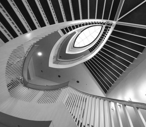 Leaf shaped staircase #spiralstaircase #chicago #chicagogram #chitown #mca #igerschicago #monochrome