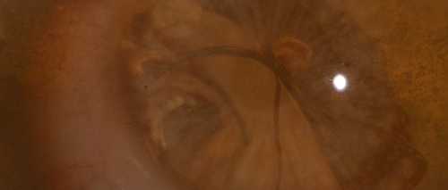 sacredwhores:David Lynch - Dune (1984)