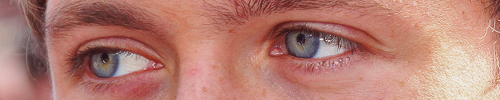 1d-s:  niall’s perfect eyes appreciation post 