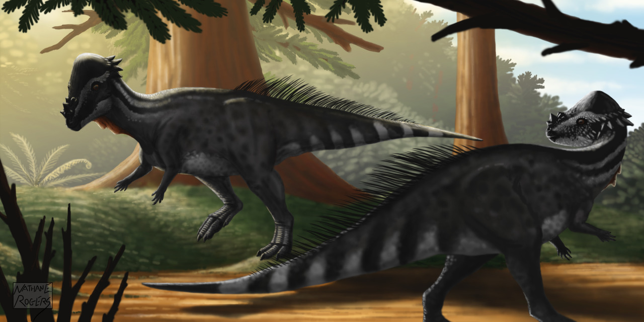 all ornithischians, all the time