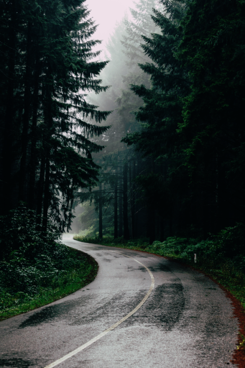 rainstormpics