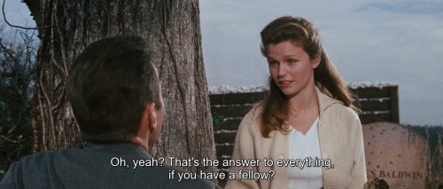  Wild River, 1960, Elia Kazan 