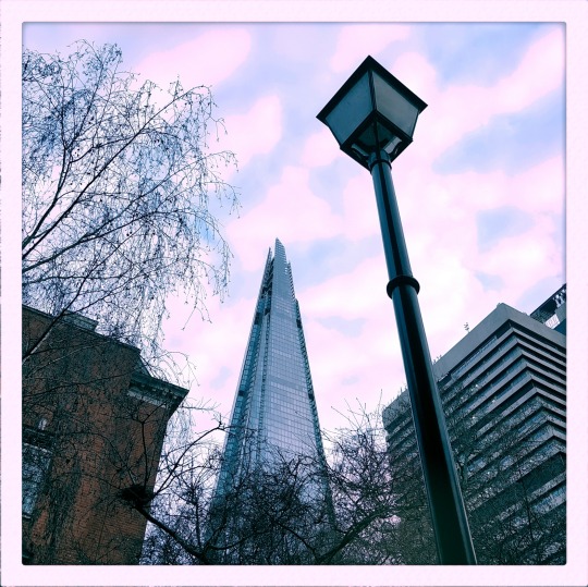 Shard seen from Guy's Campus
