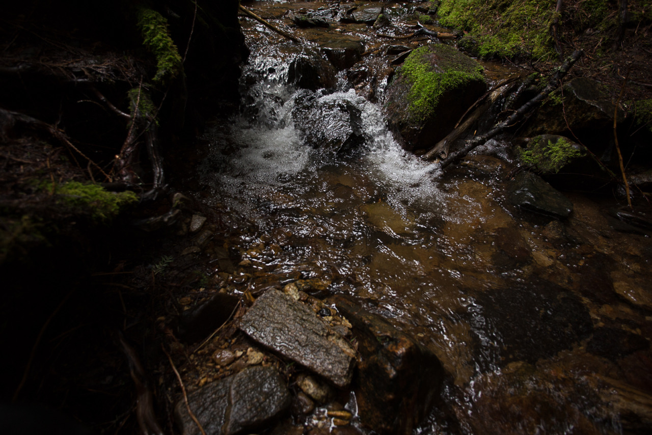 lobo-de-luna:  A little bit of warping but overall Lightroom seems to do a pretty