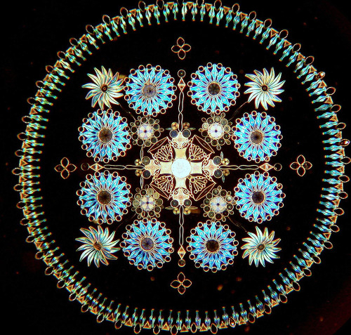 staceythinx: Klaus Kemp makes these beautiful arrangements out of microscopic diatoms. You can lear